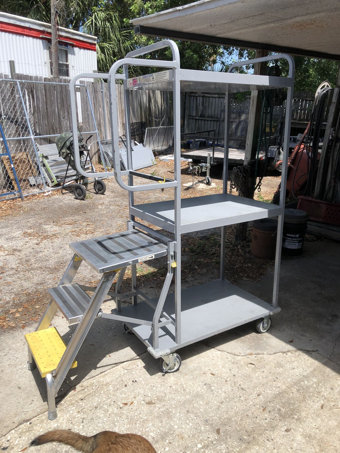 Metal 3 Shelf Rolling Cart With A Ladder