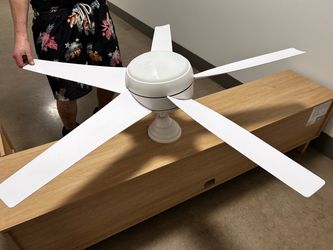 52 in- Ceiling Fan