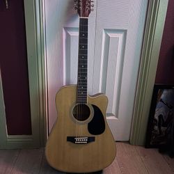 12 String Acoustic Guitar