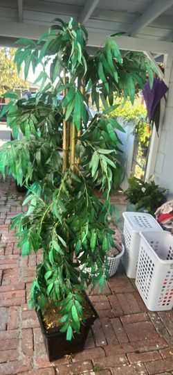 Planta Artificial 