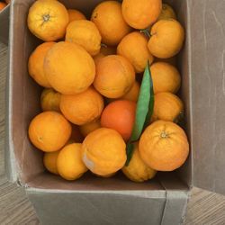 Lemons Organic $1 For 6