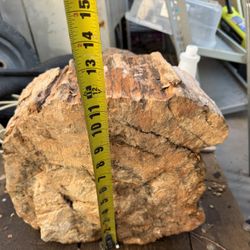 Petrified Wood With Geode