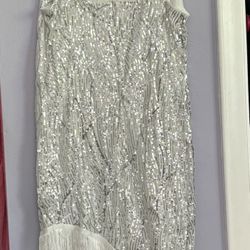 Elegant Fringe Hem Sequin Dress