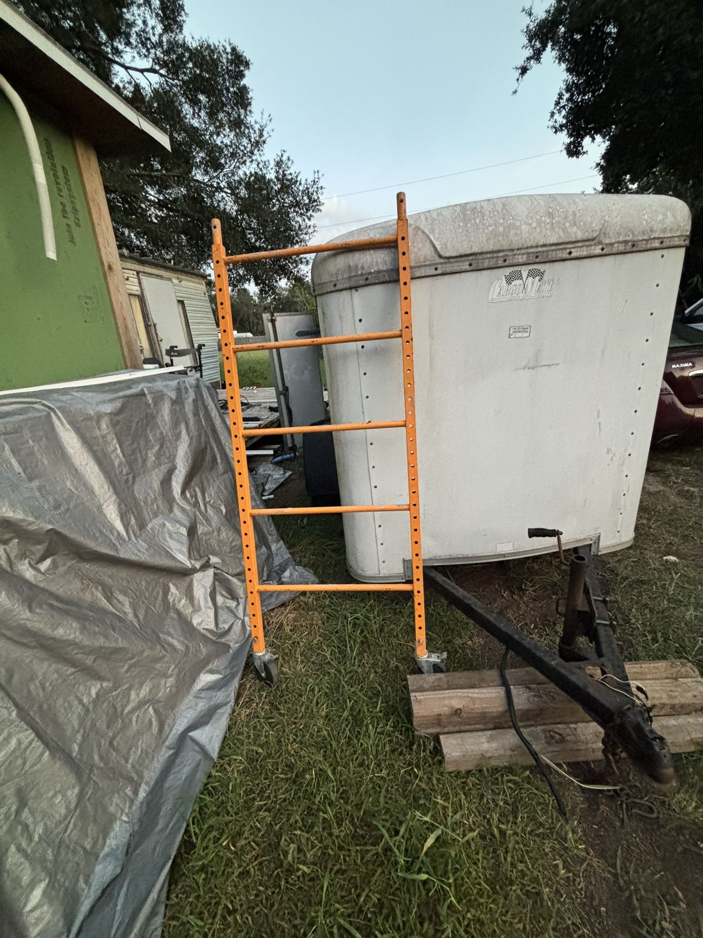 Scaffolds 200$ OBO