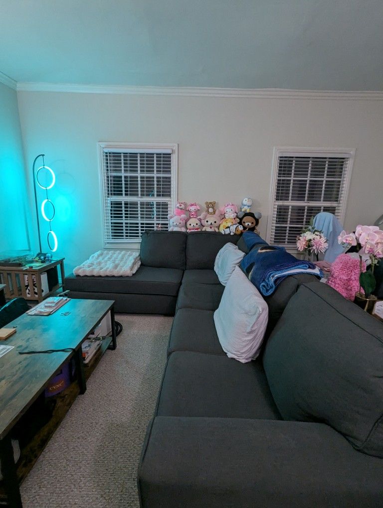 Large Grey Couch