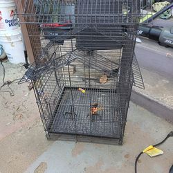 Bird cage