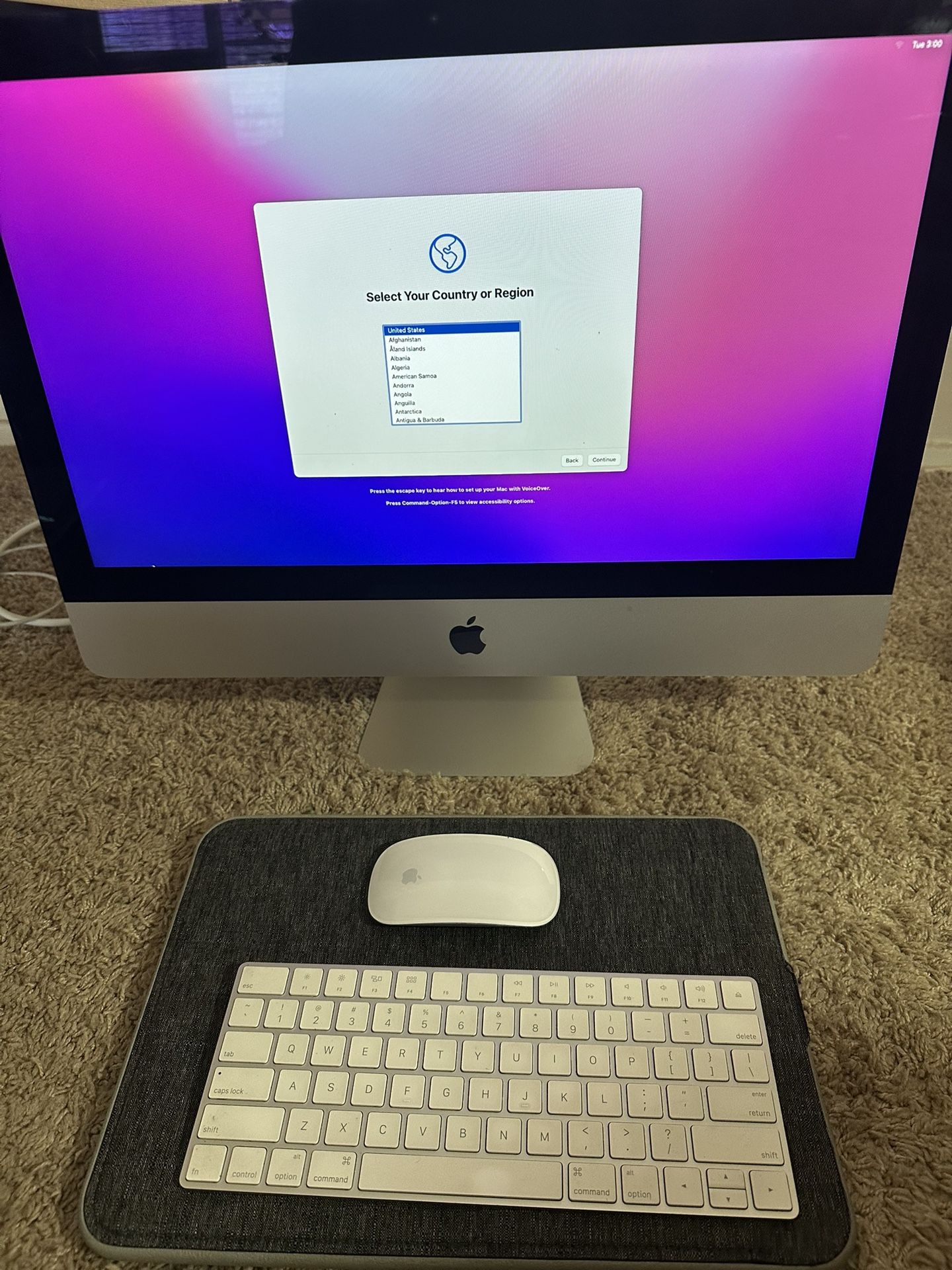 iMac (21.5-inch, Late 2015) + Magic Mouse & Keyboard -