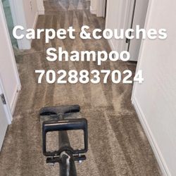 Couches Sofas Carpet Steam 