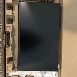 Dell 24 Monitor