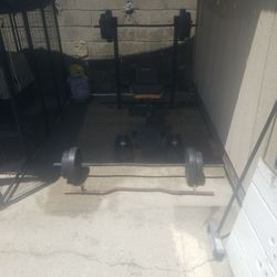 Workout Bench With All Weights Included