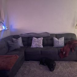 Grey Sectional Couch 
