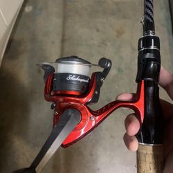 temu rod + shakesphere reel