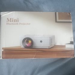 Mini projector 