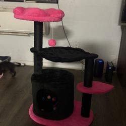 Kitty House/ Play Ground 