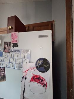 Insignia fridge
