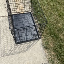 Dog Case