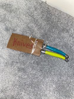 Colorful Handle Steak Knives Set of 2