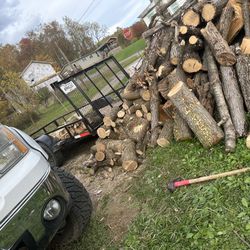 Trailer Load Of Cut Wood 