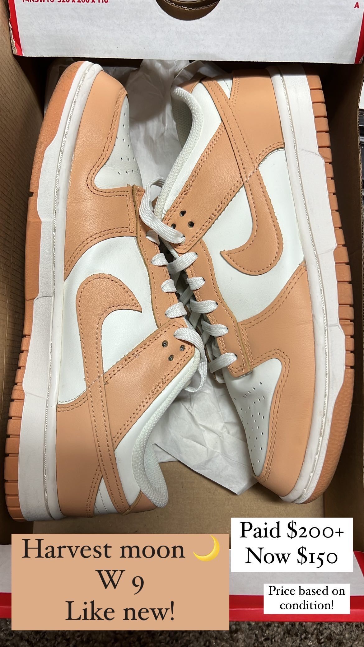 Nike dunks Harvest Moon 9W