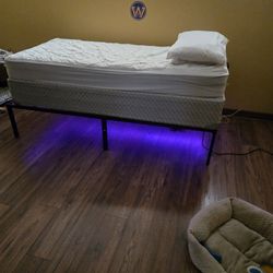 Mattress/Box Spring/Bed Frame