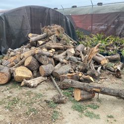 Firewood