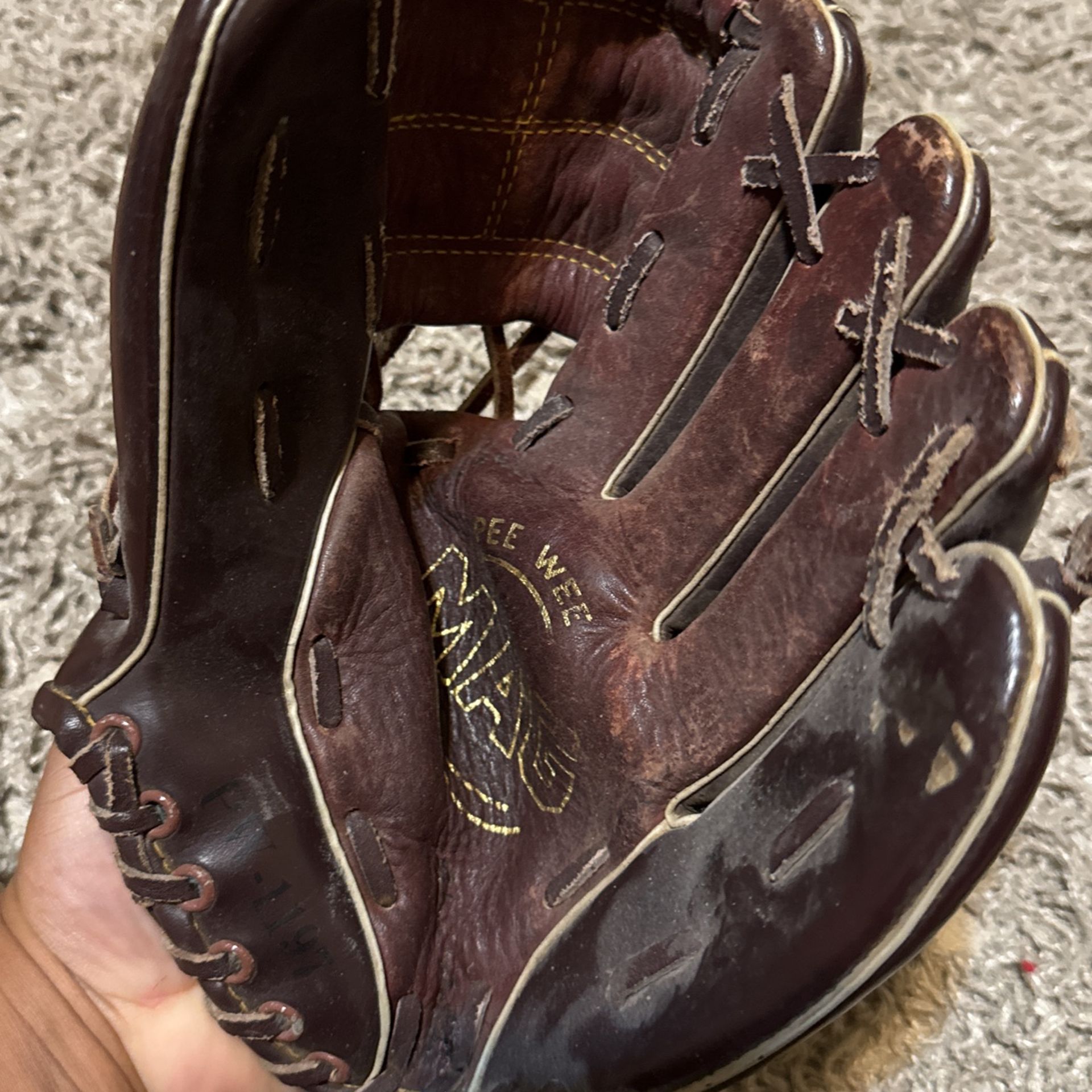 Baseball Mitt