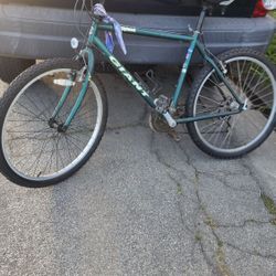 GIANT MOUNTAIN BIKE
