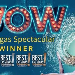 WOW THE VEGAS SPECTACULAR  