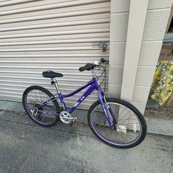 GIANT Kids Mountain Bike