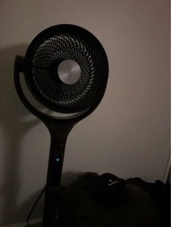 fan