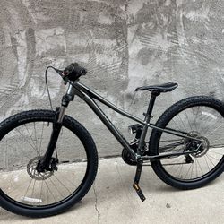 Specialized Mountain Bike 
