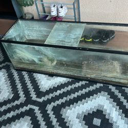 Free Tank And Turtle 
