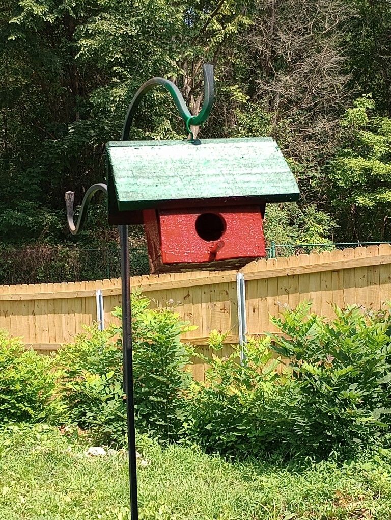 Bird Homes