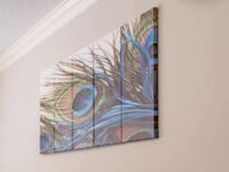 Peacock Feather Canvas Art