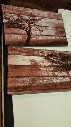 Set of 2 canvas wrap wall art