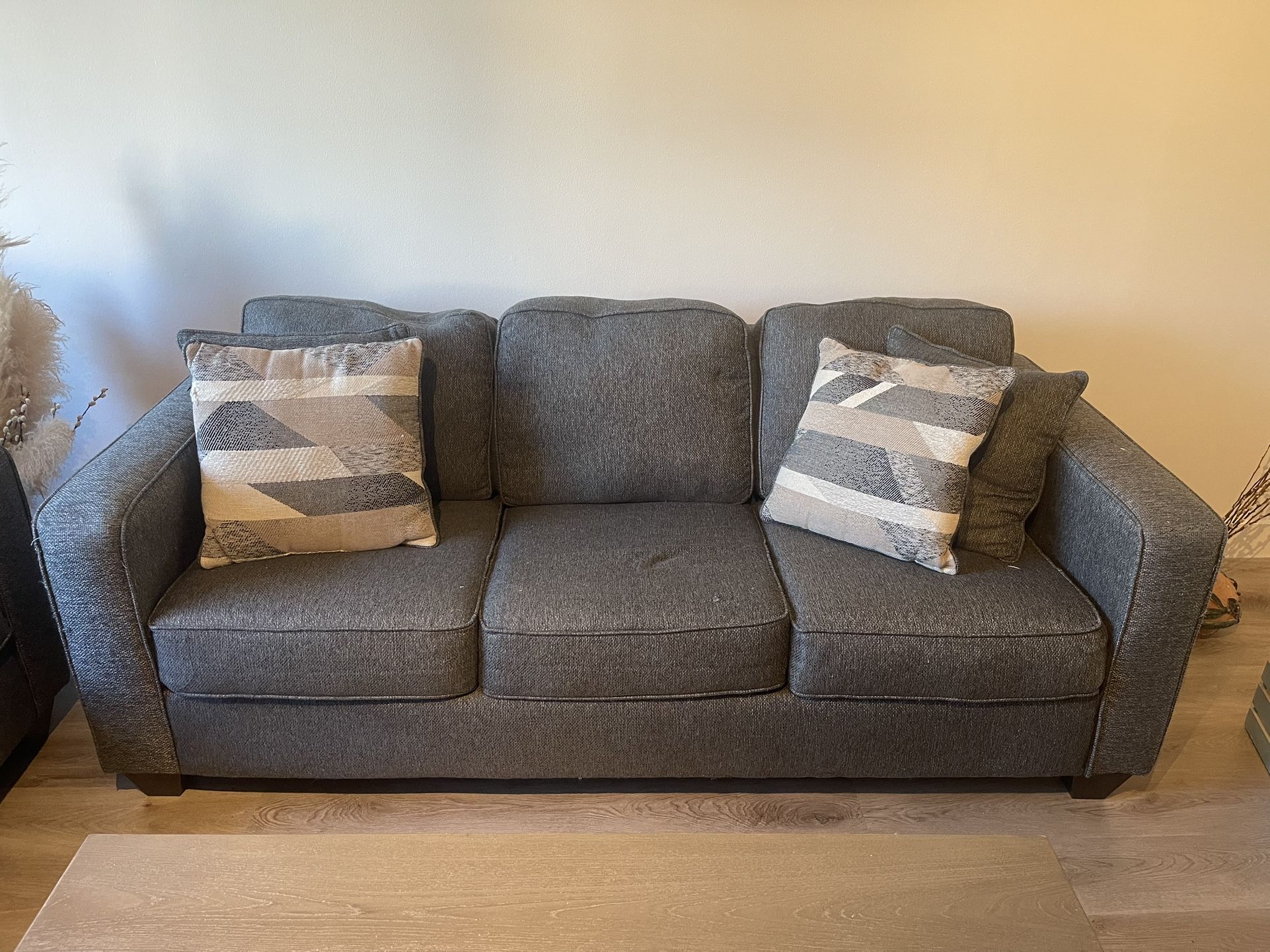 2 Sofas And Coffee Table. 