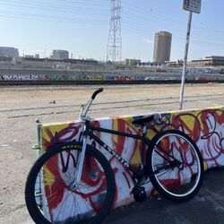 Street Co 29er