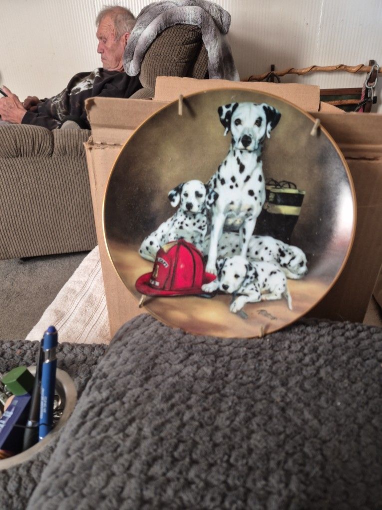 This Is A Collection Plate. It's Said On Back The Fire Brigade. Date Is 1993