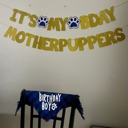 Birthday Banner and Bandana for Dogs/Puppies