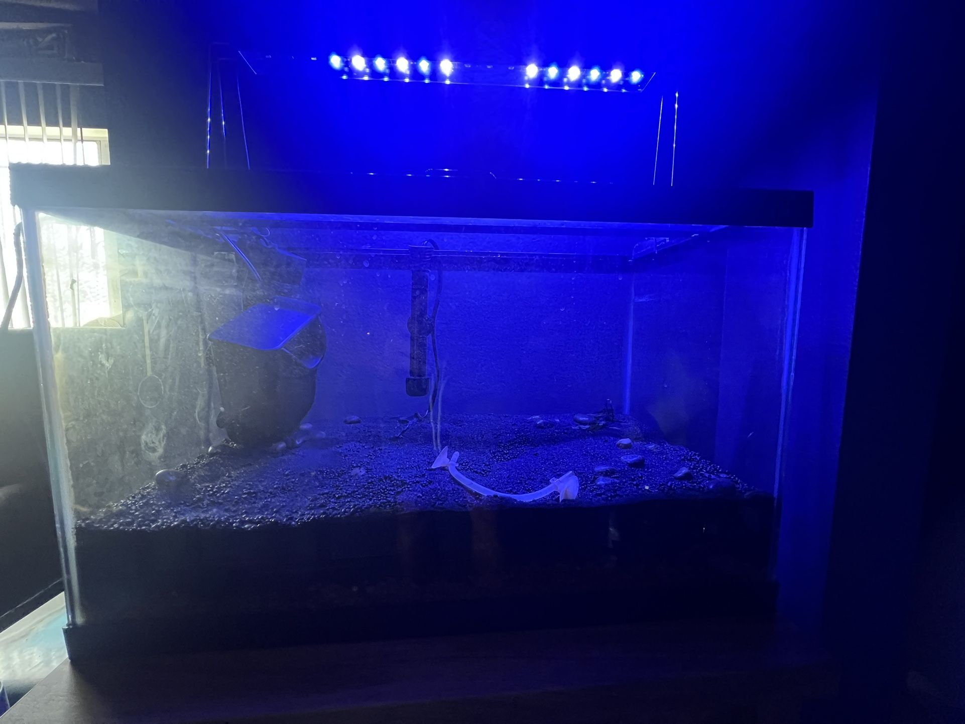Aquarium Tank