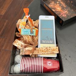 Stagecoach VIP Corral Ticket 