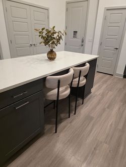 Dining Chairs