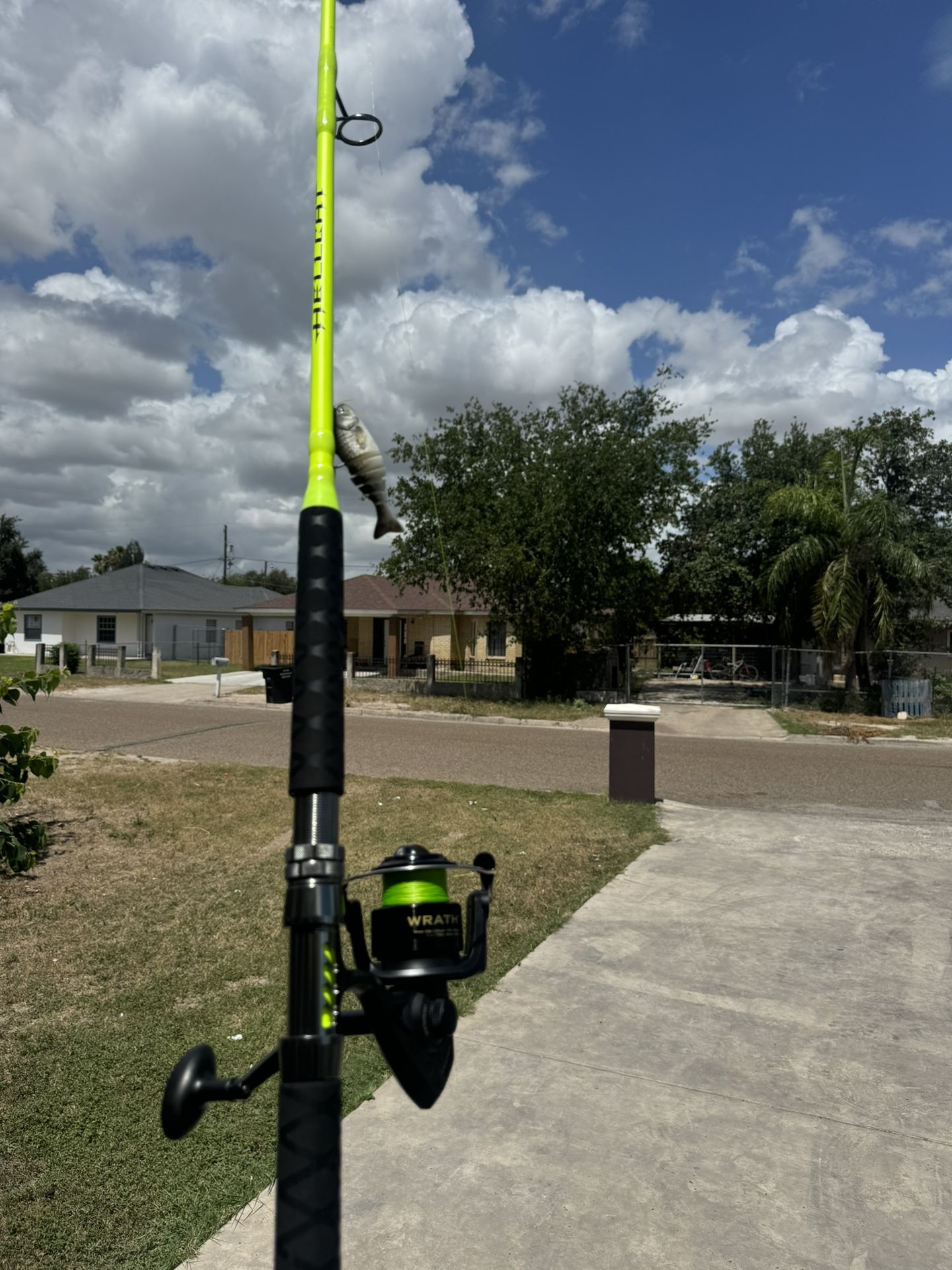 Hellcat Fishing Rod