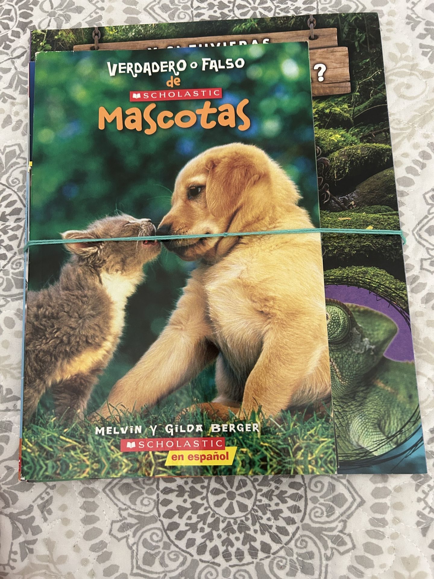 Book Bundle