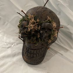 3D Skull With Moss And Skulls As Eyes 