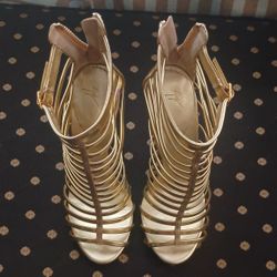Giuseppe Zanotti

