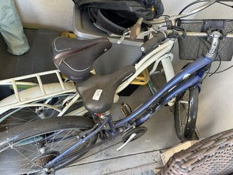 Adult bikes