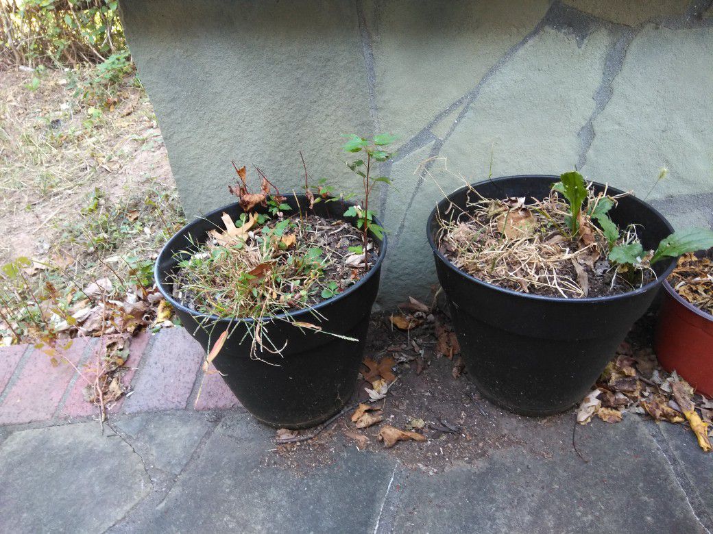 Flower pot 2 sets
