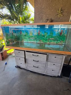 200 gallon aquarium no leaks or cracks