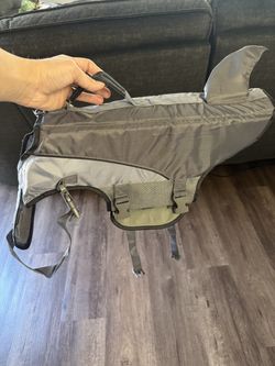 Dog shark life vest